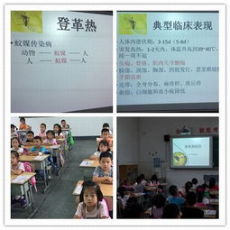 民合小学举行 预防登革热 主题班会活动