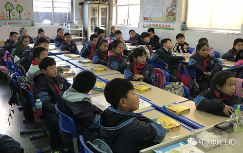 民主路小学数学组结合学生年龄特点分年级自主开发设计并实施多样拓展性课程